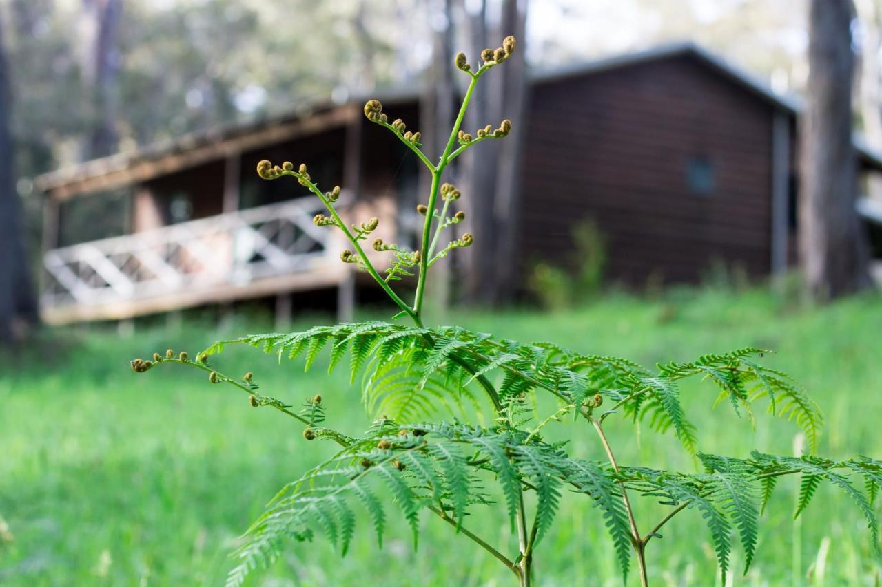 Che Sara Sara Chalets Уолпол Экстерьер фото